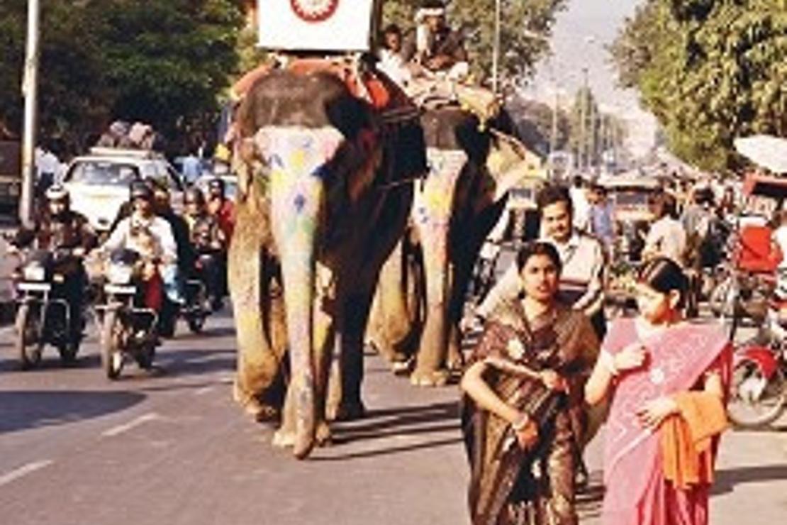 Jaipur’da bir hafta geçirdim en çok tarihi bölgesini sevdim