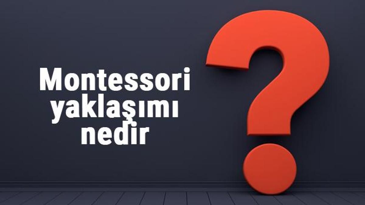 Montessori Yakla M Nedir Ve Zellikleri Nelerdir Montessori