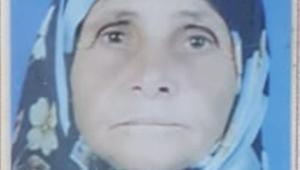 Erzincanda gelin, kayınvalidesini öldürdü