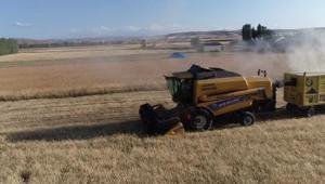 Bayburtta hububat hasadı