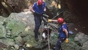 15 metrelik çukurda mahsur kalan köpeği AFAD kurtardı