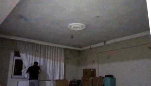 Evlerini yarasalar bastı