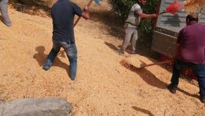 Kazazede baba-oğlun yardımına köylüler koştu