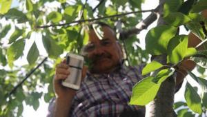 Cep telefonu ile konuşmak için ağaçlara ve çatılara çıkıyorlar