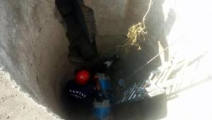 Boş kuyuya düşen danayı itfaiye kurtardı