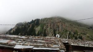 Uzungölde hayvancılıkla uğraşanların mera alan sıkıntısı