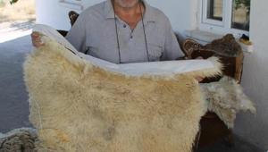 Koyun derilerini işleyerek çoban kürkü yapıyor