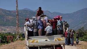 Kamyonet kasasında tehlikeli yolculuk