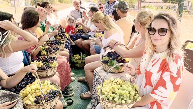 Ayılana çavuş, bayılana şiraz