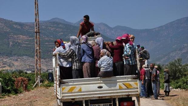 Kamyonet kasasında tehlikeli yolculuk