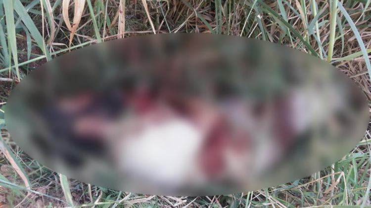 Anadolu Ajansı IŞİD'linin ceset fotoğrafını yayınladı