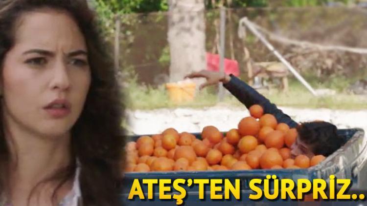 Bodrum Masalı yayınlanan son bölümün ardından 31. bölüm fragmanı yayınlandı mı?
