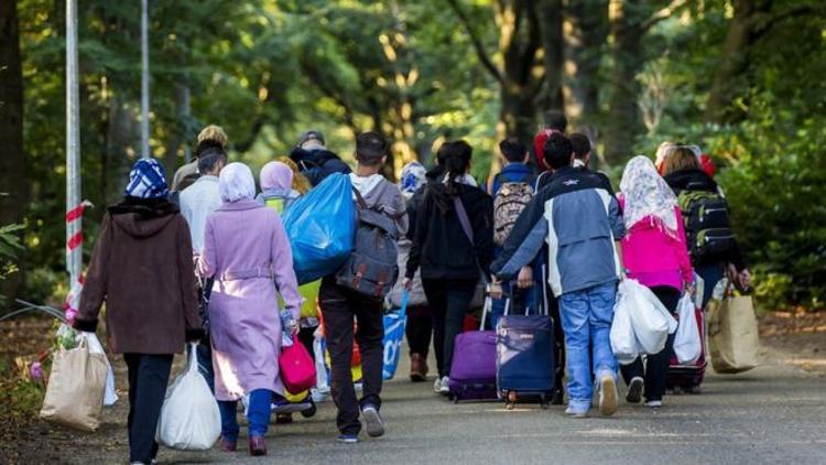 Hollanda'da mültecilere tuvalet temizleme zorunluluğu