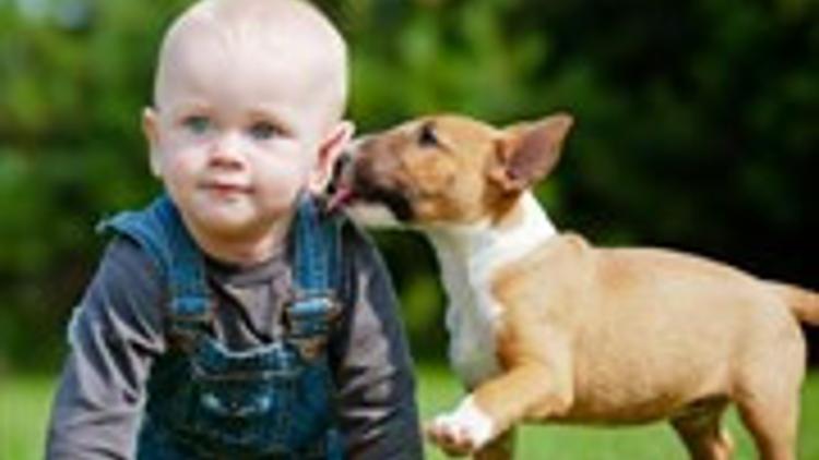 Bebeğe Emeklemeyi Öğreten Köpek