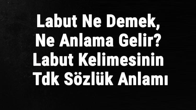 Labut Ne Demek Ne Anlama Gelir Labut Kelimesinin Tdk S Zl K Anlam