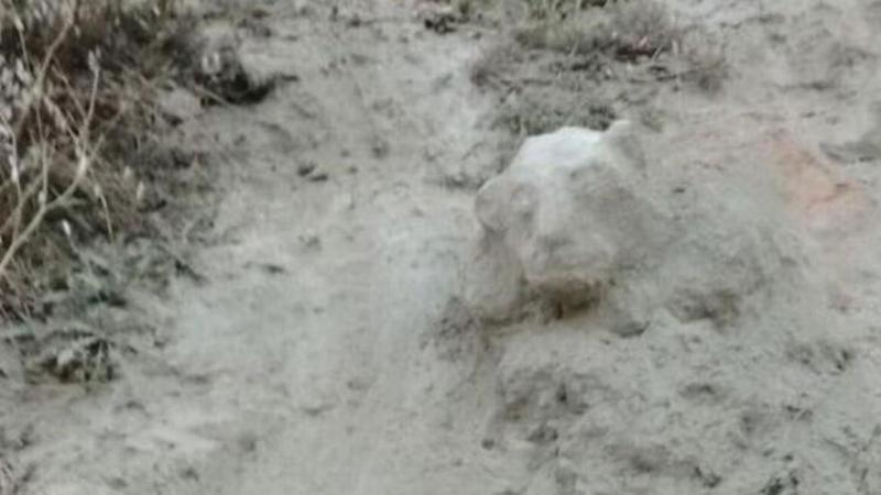 Aslan figürlü kaya parçasının tarihi eser olma ihtimaline karşı polis 3 gün boyunca nöbet tuttu