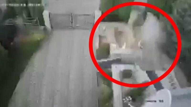 Bombalı paketi açan rektörün eli koptu