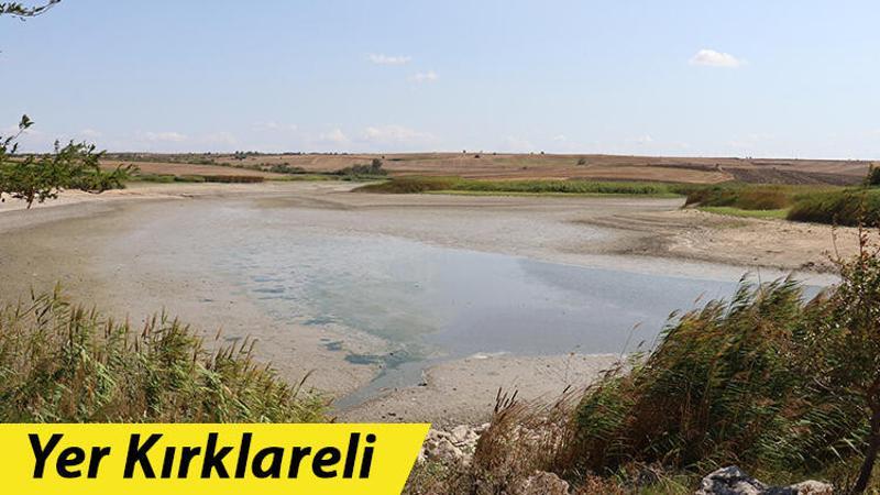 Göletteki sular çekildikçe telef olan balık sayısı artıyor