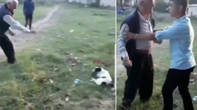 Köpeğe ve kendine engel olmaya çalışan çocuğa taş attı