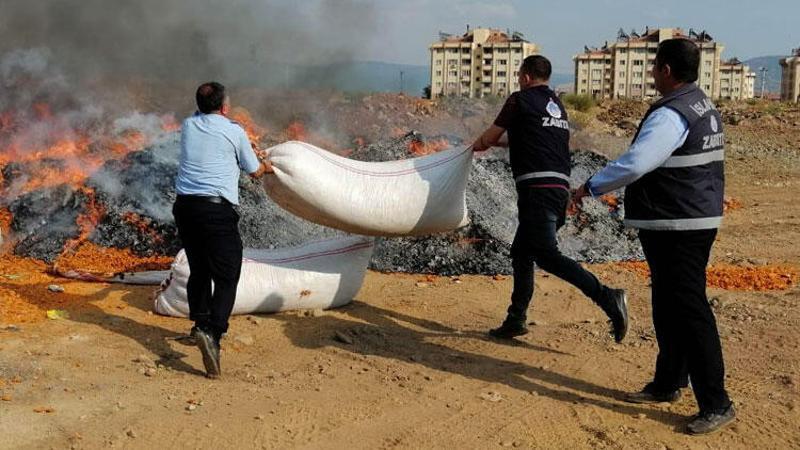 Gaziantep'te 25 ton bozulmuş domates ele geçirildi