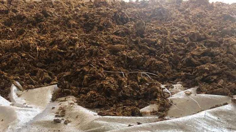 İstanbul'da 1 ton kaçak nargile tütünü ele geçirildi