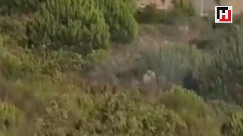 Pendik'teki orman yangınını çıkardığı iddia edilen kişi kamerada