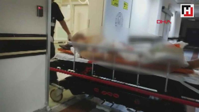 Ayı dehşeti: Ölü ve yaralılar var