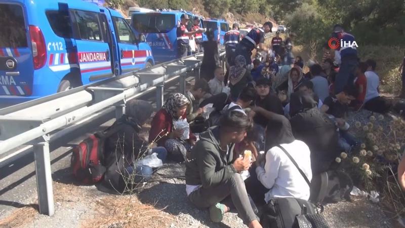 Mülteci minibüsü kaza yaptı, organizatörler 48 bin dolarla kaçtı
