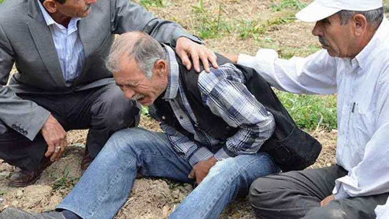 Kestiği ağacın altında kalarak öldü