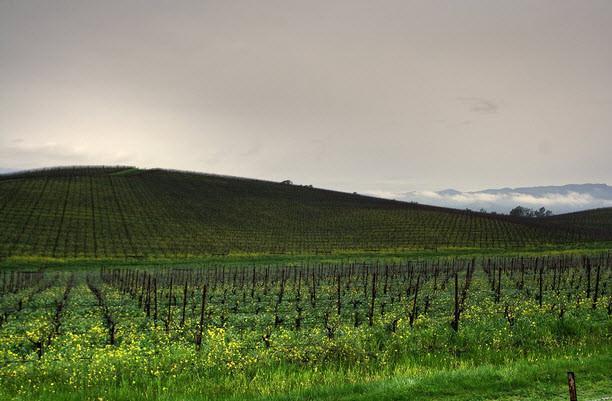 Windows XPdeki tepe bakın bugün ne halde