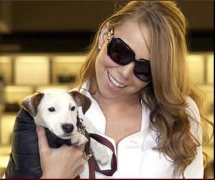 Ünlü yıldızlar hangi gözlükleri kullanıyor