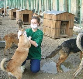 Ankara Haberleri Barinakta Adres Bala Veya Kalecik Yerel Haberler