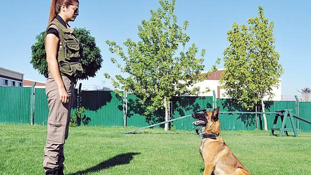 Cankaya Yi Koruyacaklar Son Dakika Haberler