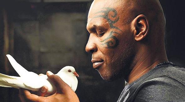 Mike Tyson Güvercin