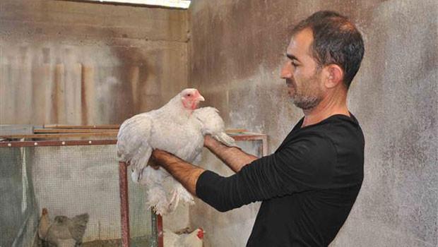 Hobi Olarak Basladi Tanesini 2 Bin Tl Den Satiyor Son Dakika Haberler Hobi Olarak Basladi Tanesini 2 Bin Tl Den Satiyor Son Dakika Haberler