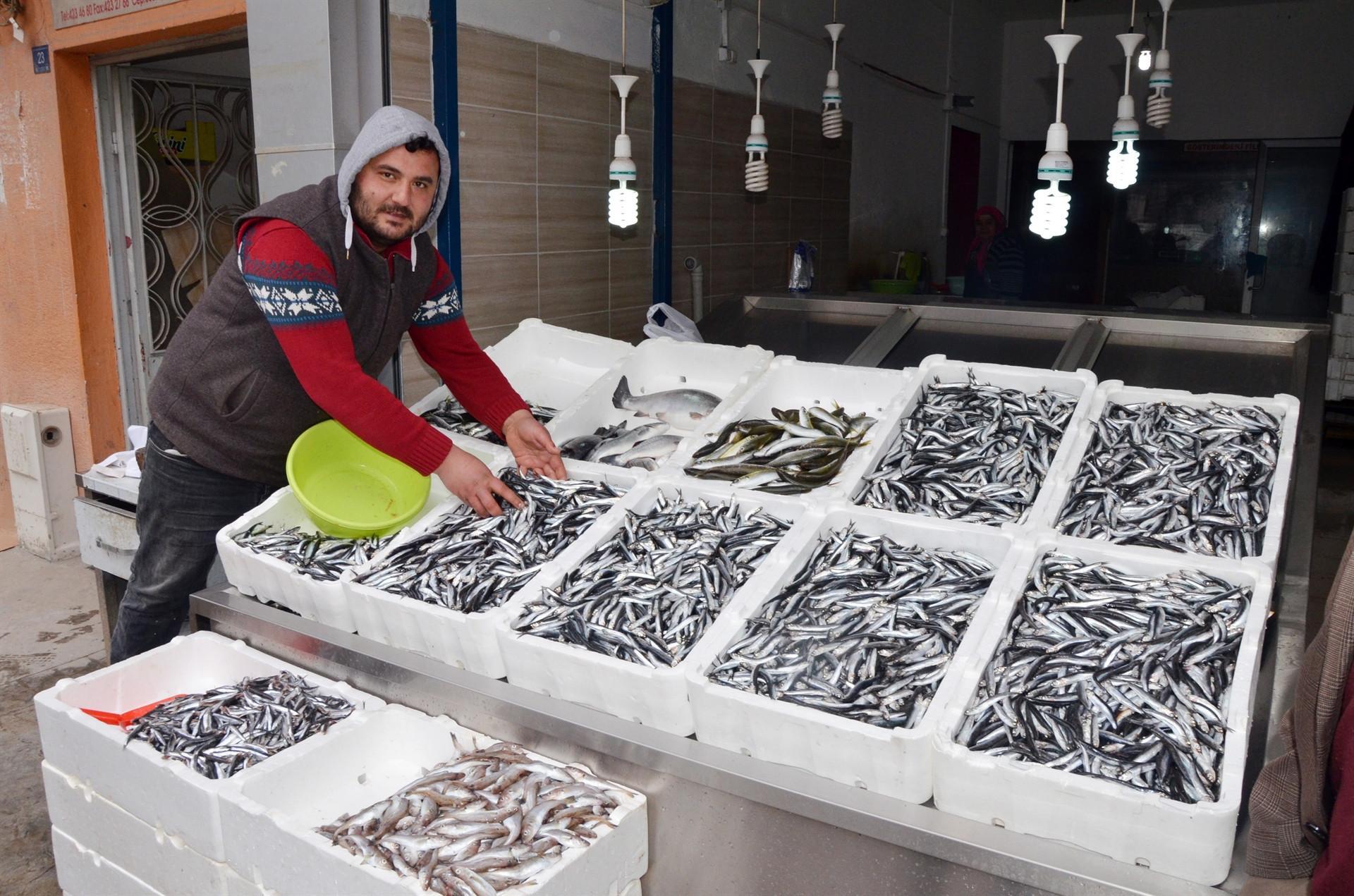 Karadeniz�e balık Gürcistan’dan! Fiyatları cep yakıyor&hellip; Haberler