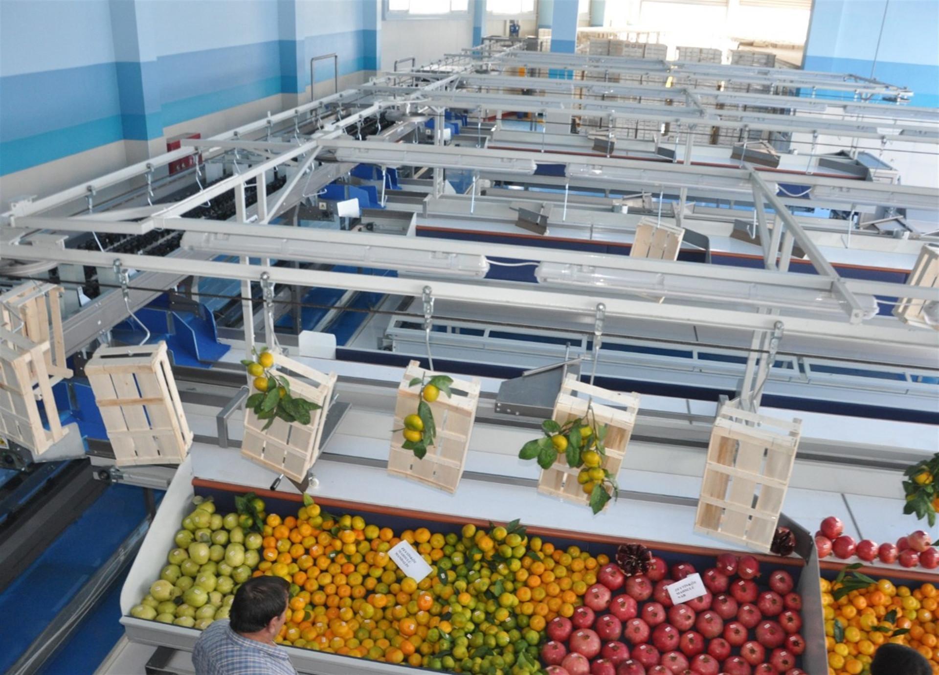 Ev hanımıydı, kocasının patronu oldu! Avrupa�ya ihraç ediyor Son