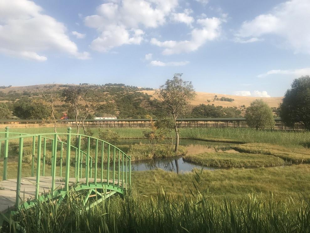 yalniz sehir bingol sila ucan kose yazilari yalniz sehir bingol sila ucan kose yazilari