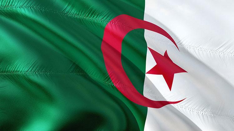 cezayir de cumhurba kanl adayl 15 ba vuru en cezayir de cumhurba kanl adayl 15 ba vuru en