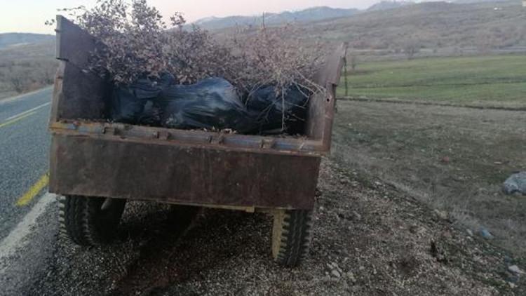 Traktör römorkunda 250 kilo esrar ele geçirildi