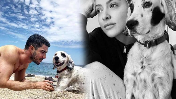 kaan yildirim ile hadise benek yuzunden evleri ayirdi son dakika magazin haberleri kaan yildirim ile hadise benek yuzunden evleri ayirdi son dakika magazin haberleri