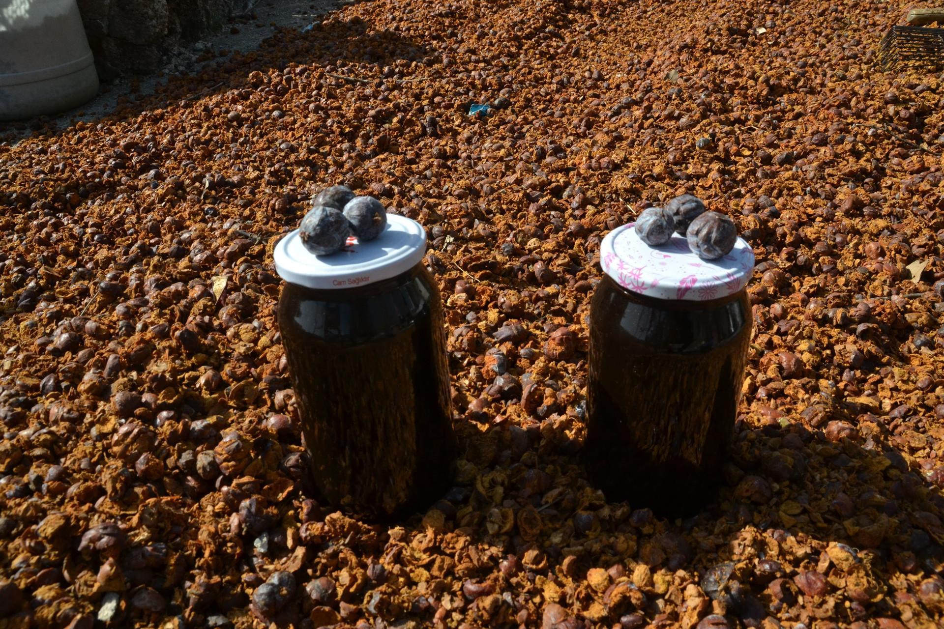 Toroslar�da 1600 metreden toplanıyor, kilosu 30 TL�den satılıyor