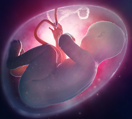 Hamilelik döneminde kan uyuşmazlığı nedir