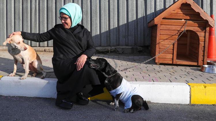 Emine Erdogan Engelli Kopek Leblebi Yi Sahiplendi Son Dakika Haberleri