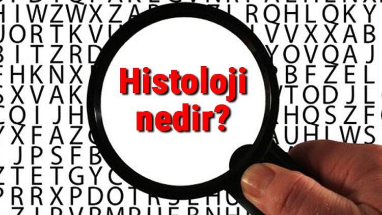 histoloji nedir histolog ne demek histoloji bilimi neler ile ilgilenir