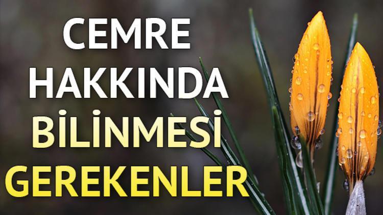 Cemre Ne Zaman Duser 2021 Cemre Dusme Tarihleri Son Dakika Haberleri
