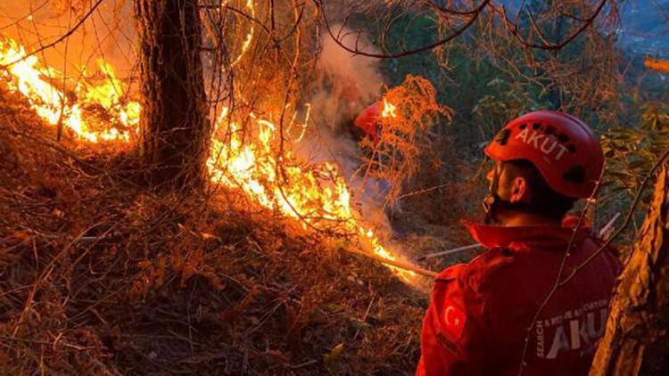 Doğu Karadeniz&amp;#39;de, 4 ilde çıkan orman yangınları söndürüldü - Son Dakika  Haberler