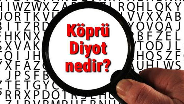 Kopru Diyot Nedir Ne Ise Yarar Ve Nerelerde Kullanilir Kopru Diyot Sembolu Calisma Prensibi Ve Kullanim