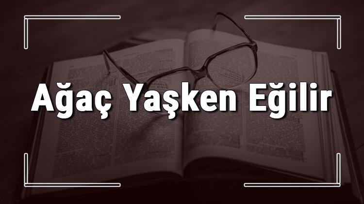 Agac Yasken Egilir Atasozunun Anlami Ve Ornek Cumle Icinde Kullanimi Tdk