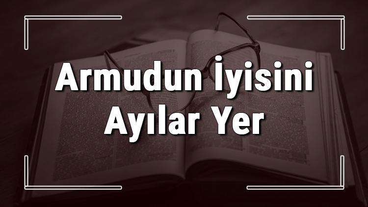 Armudun Iyisini Ayilar Yer Atasozunun Anlami Ve Ornek Cumle Icinde Kullanimi Tdk